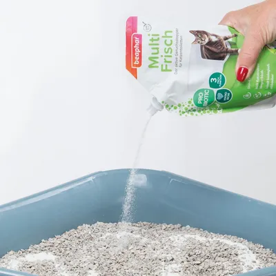 Beaphar Multi Frisch, bustina con immagine di gatto e testo visibile, viene versato su lettiera per gatti in una vaschetta azzurra. Testo tedesco: Pro Biotic, 3-fach Aktion.