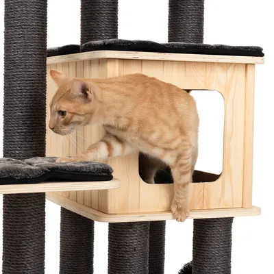 Kratzbaum aus Holz mit Sisal umwickelten Säulen, gepolsterten Liegeflächen und einer Katze, die aus einer Holzhöhle herauskommt.