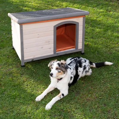 Hundehütte aus Holz mit grauem Dach und orangefarbenem Innenraum, auf einer Wiese. Hund liegt davor.