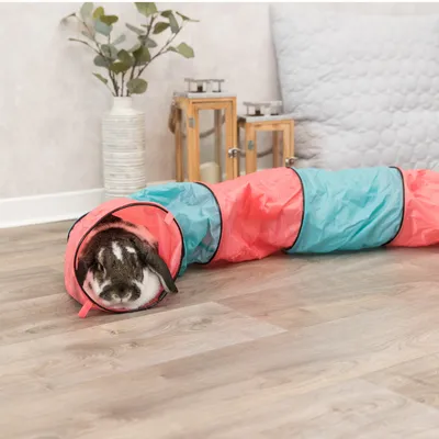 Toy tunnel in red and blue, suitable for small pets. Rabbit sitting in the tunnel on a wooden floor.