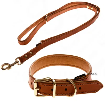 Heim brown leather dog lead with metal clip and matching collar with gold-coloured buckle and D-ring, Heim brand tag visible on collar