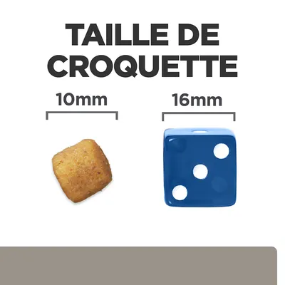 Taille de croquette : croquette 10 mm à côté d’un dé bleu 16 mm pour comparaison visuelle des dimensions.