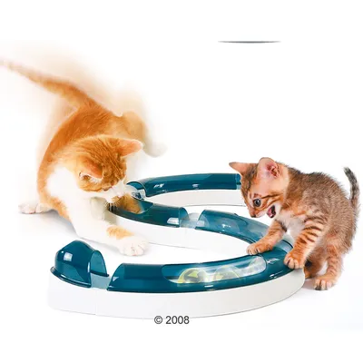 Katten speelrails van wit en blauw plastic met transparante deksels, twee katten spelen met een bal in het spoor. Merknaam of tekst niet zichtbaar.