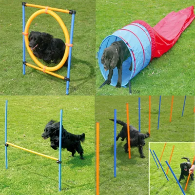Sada agility překážek pro psy: kruh, tunel, skoková tyč a slalomové tyče. Černý pes předvádí použití všech překážek na trávníku.