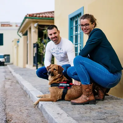 JULIUS-K9 IDC® POWAIR Tuigje - Oranje