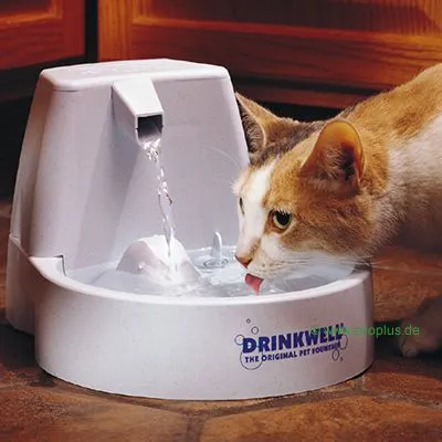 Katt dricker ur vit vattenfontän med texten DRINKWELL THE ORIGINAL PET FOUNTAIN på framsidan. Vatten rinner från en pip ner i skålen.