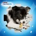Purina Dentalife daglig tannhygiene-snacks for mellomstore hunder