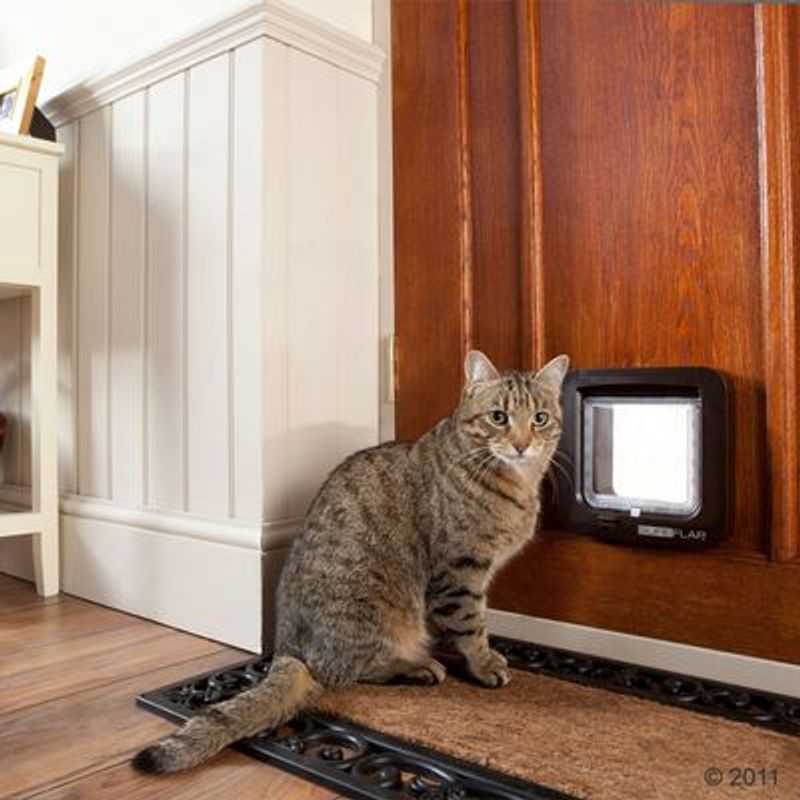 SureFlap Microchip Kattenluik