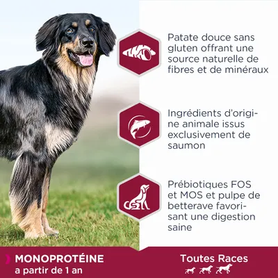 Patate douce sans gluten, ingrédients d’origine animale issus exclusivement de saumon, prébiotiques FOS et MOS, pulpe de betterave. Monoprotéine à partir de 1 an, toutes races.