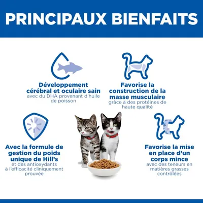 Principaux avantages : soutien de la santé du cerveau et des yeux, développement musculaire, contrôle du poids avec la formule Hill’s, promotion d’une silhouette élancée.
