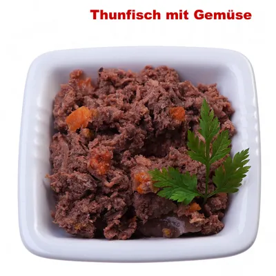 Texte en allemand : Thunfisch mit Gemüse