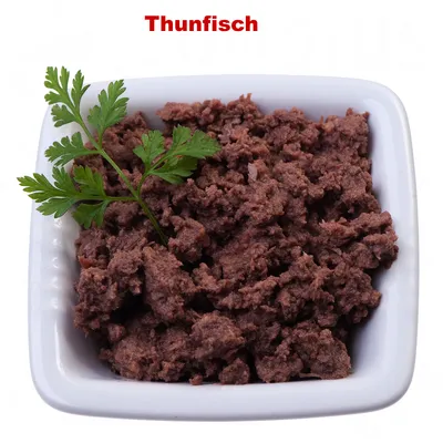 Bol carré blanc avec pâtée brune, décorée d’une branche de persil. Texte visible en haut : « Thunfisch » (allemand pour thon).