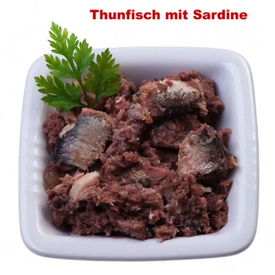 Texte en haut : Thunfisch mit Sardine. Mélange visible de thon et sardine dans une coupelle blanche, décoré d’une feuille de persil.