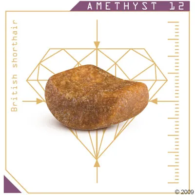 Гранула за котешка храна с надпис AMETHYST 12 и British shorthair, показана върху схема с размери.