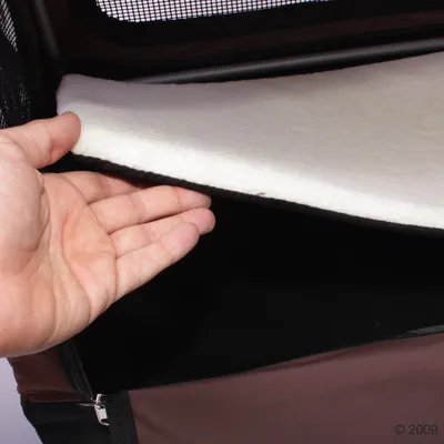 Hand lifting a removable padded mat inside a pet carrier, showing the interior and how the mat can be taken out for cleaning or replacement.