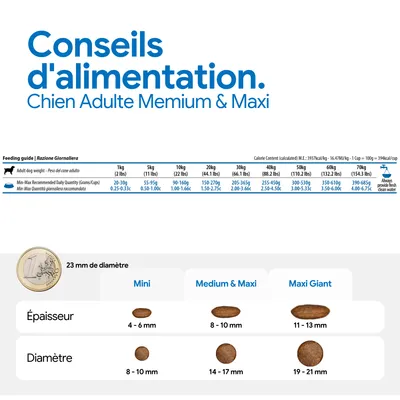 Recommandation d'alimentation pour Chien Adulte Medium & Maxi : quantité journalière selon le poids, tailles et épaisseurs des croquettes, comparaison du diamètre avec une pièce de 1 euro. Recommandation d'alimentation pour Chien Adulte Medium & Maxi : quantité journalière selon le poids, tailles et épaisseurs des croquettes, comparaison du diamètre avec une pièce de 1 euro.