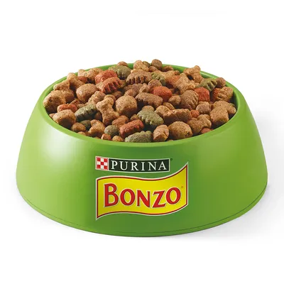 Grüner Napf mit Trockenfutter, Markenname PURINA Bonzo auf dem Napf sichtbar.