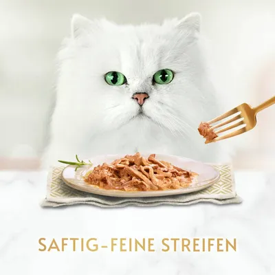 Saftig-feine Streifen auf einem Teller, mit einer Gabel serviert. Weisser Katze im Hintergrund. Text: Saftig-feine Streifen.