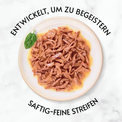 Saftig-feine Streifen in Sauce auf einem Teller. Text: Entwickelt, um zu begeistern.