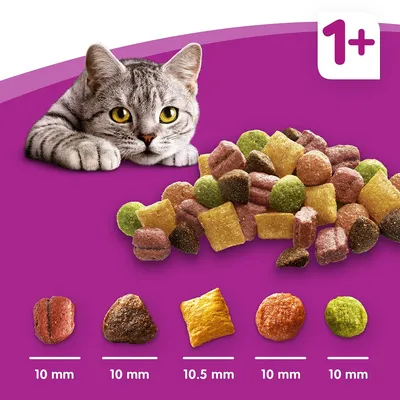 Mačka uz hrskavu suhu hranu raznih oblika i boja, prikazane veličine granula: 10 mm, 10 mm, 10,5 mm, 10 mm, 10 mm, 10 mm. Oznaka 1+ u gornjem kutu.