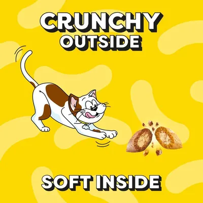 Dreamies Mix Cat Treats - Salmon & Cheese Dreamies Mix Cat Treats - Salmon & Cheese