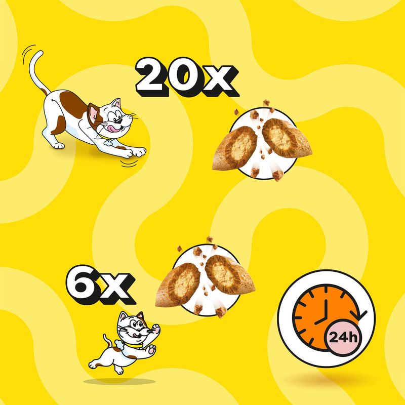 Big Pack Dreamies Cat Treats 200g