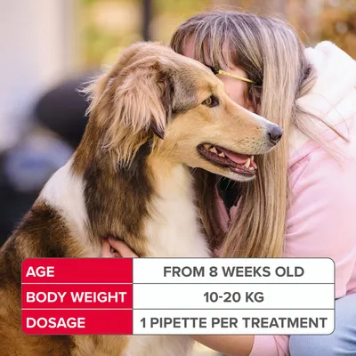 Dosage guide: for animals from 8 weeks old, body weight 10-20 kg, use 1 pipette per treatment.