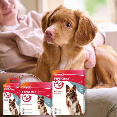 Beaphar FIPROtec packaging showing product for killing fleas and ticks, with boxes indicating suitability for 10-20 kg weight range and easy to use spot-on application.