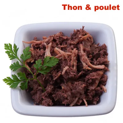 Morceaux de thon et poulet dans une coupelle blanche, texte visible en haut à droite : Thon & poulet