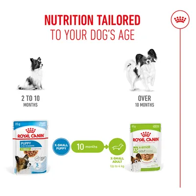 Explanation: Royal Canin X-Small Puppy for 2–10 months, from 10 months switch to Royal Canin X-Small Adult up to 4 kg. Age-appropriate feeding recommendation.