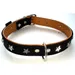 Heim Leather Dog Collar - Stars
