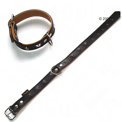 Hundhalsband i svart läder med metallspänne och dekorationer i form av stjärnor och nitar. Märkt med etiketten 'Trixie'.