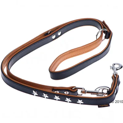 Sort og brun hundesnor med sølvfarvede stjernestifter, justerbar, lavet af læder med metalkarabinhage.