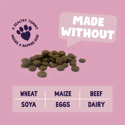 Dry pet food shown with text: Made without wheat, maize, beef, soya, eggs, dairy. Includes message: A healthy tummy means a happier dog.