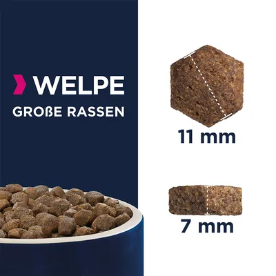 Hvalp store racer. Krokettstørrelse: diameter 11 mm, højde 7 mm. Billede af kroketter i en skål og detaljevisning af målene.