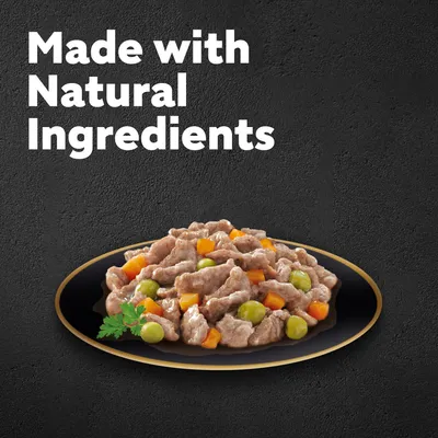 Cesar Country Stew Mixed Pack