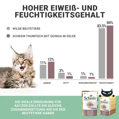 Vergleich von Nährwerten: Schesir Thunfisch mit Quinoa in Gelee vs. wilde Beutetiere. Hoher Eiweiss- und Feuchtigkeitsgehalt. Ideale Ernährung für Katzen mit ähnlicher Zusammensetzung wie Beutetiere.