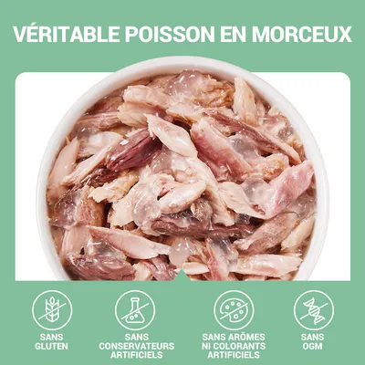 VÉRITABLE POISSON EN MORCEAUX. Sans gluten, sans conservateurs artificiels, sans arômes ni colorants artificiels, sans OGM. Texte en français visible sur l’image.
