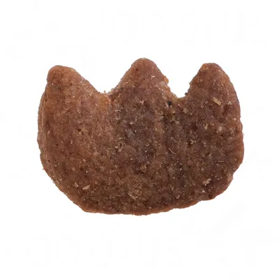 Bruin, droogvoerbrokje in de vorm van een kattenpoot met licht korrelige textuur.
