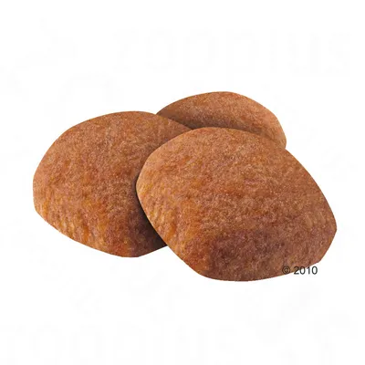 Drie ronde, bruine brokken hondenvoer zonder zichtbare merknaam of verpakking, op witte achtergrond.