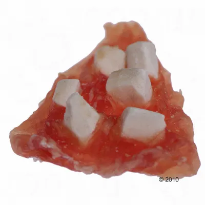 Snack para animais em forma triangular, com base castanha e pedaços brancos visíveis no topo.