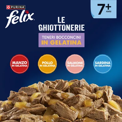 Felix Le Ghiottonerie Senior in gelatina