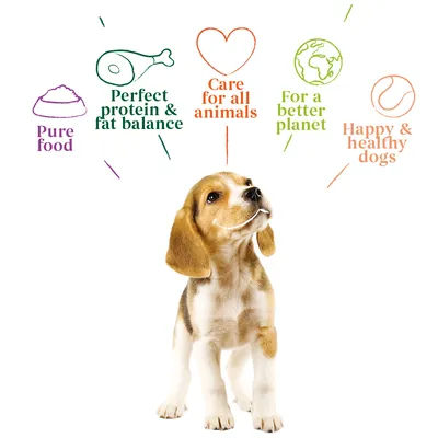Pure food, perfect protein and fat balance, care for all animals, for a better planet, happy and healthy dogs shown as product benefits with icons above a dog.