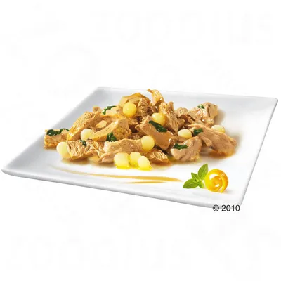 Chunks of wet pet food with yellow and green garnish served on a white square plate, small herb and orange peel decoration in the corner. No visible brand or text.