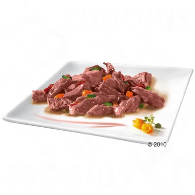 Chunks of meat in gravy with visible pieces of orange and green vegetables on a white square plate, small garnish at the side. No brand or text visible.