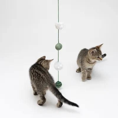Dve mačiatka pri visiacej hračke so zelenými a bielymi guľôčkami na šnúrke, vhodné na hranie pre mačky. Viditeľný materiál: textil.