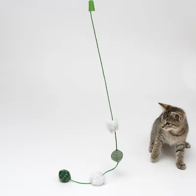 Mačiatko vedľa zelenej mačacej hračky na šnúrke s dvoma zelenými guľôčkami a dvoma bielymi chlpatými prvkami, položené na bielom pozadí.