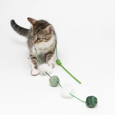 Mačiatko s hračkou na šnúrke: zelená palička, biele a zelené guľôčky z textilu. Hračka určená na hranie pre mačky.