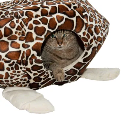 Cuccia per gatti con motivo giraffa e fondo in peluche bianco, gatto che guarda fuori dall’apertura rotonda.