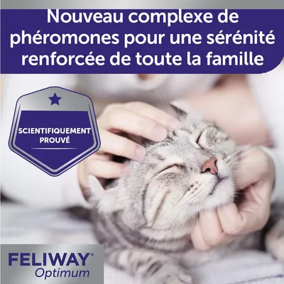 Nouveau complexe de phéromones pour une sérénité renforcée de toute la famille, scientifiquement prouvé. FELIWAY Optimum.